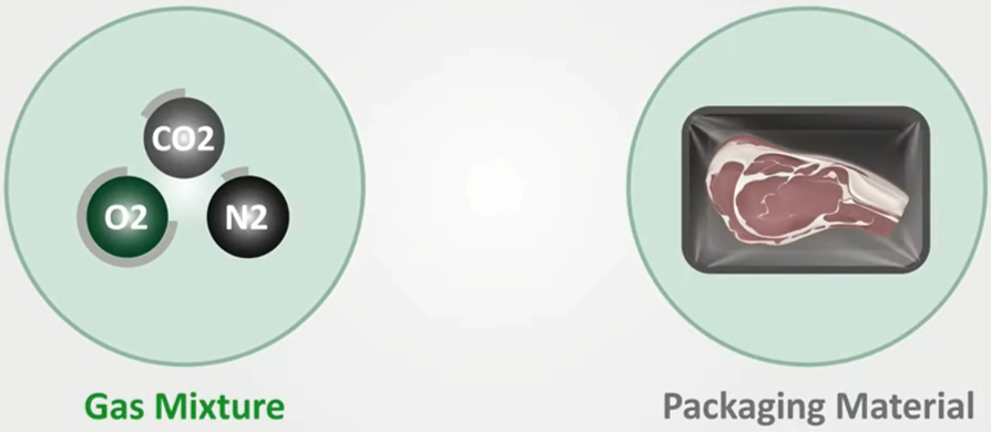 مواد بسته بندی نقشه