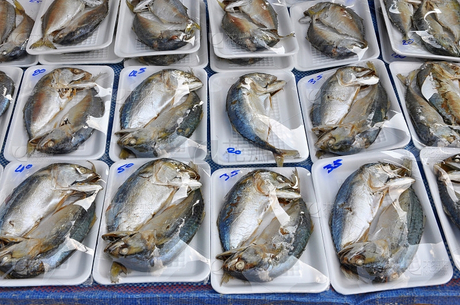 Heat shrink film packaging.jpeg