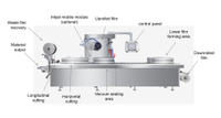 //iirorwxhnjkmli5p-static.micyjz.com/cloud/lpBprKlnlkSRmkkpjoqliq/thermoforming-packaging-machine.jpg