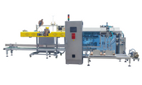 //iirorwxhnjkmli5p-static.micyjz.com/cloud/lqBprKlnlkSRqlnrokljio/plastic-pellets-packaging-line.jpg