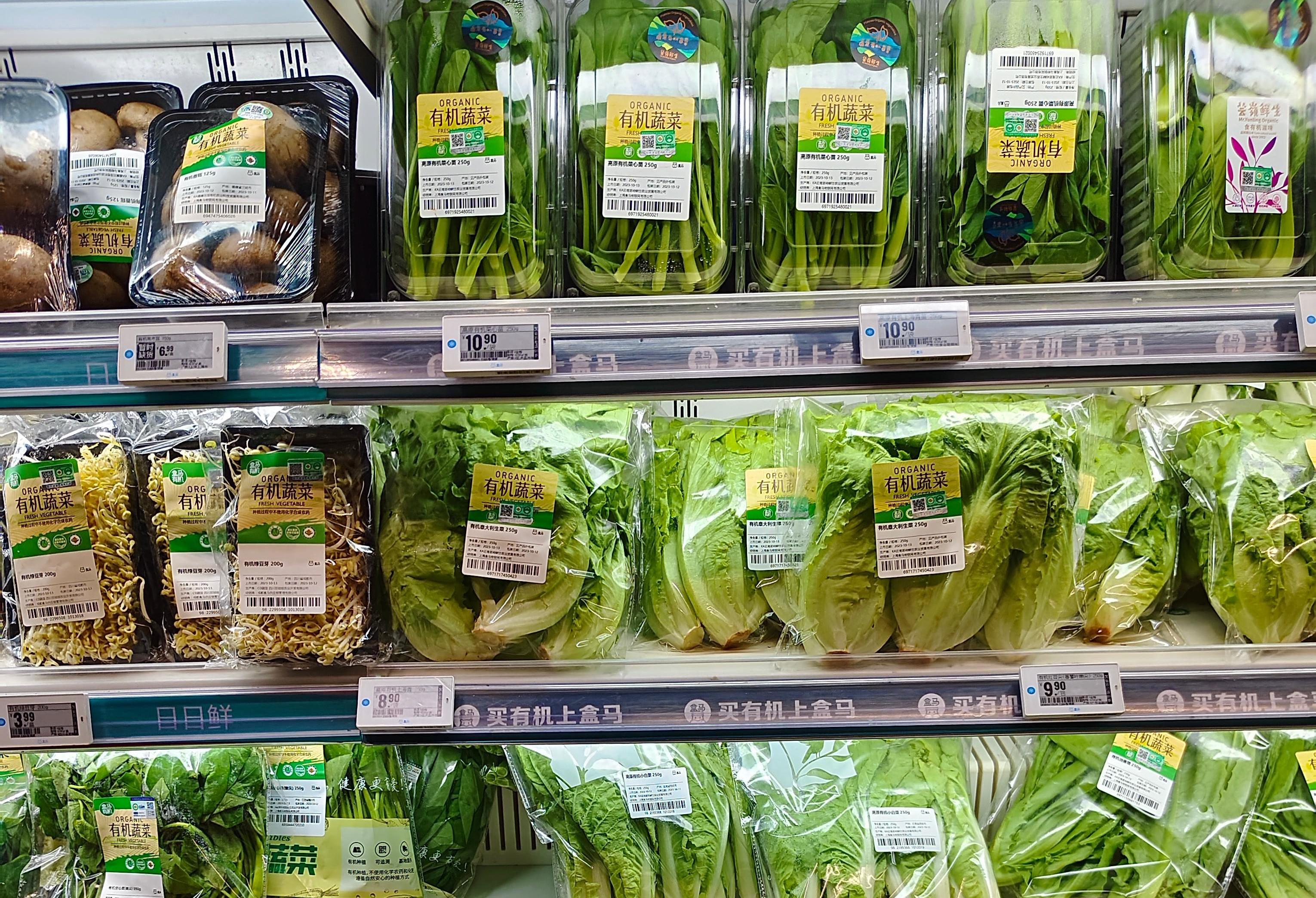 دستگاه بسته بندی نقشه سبزیجات