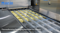 //iirorwxhnjkmli5p-static.micyjz.com/cloud/pkBprKlnlkSRqlprmpqrip/thermoforming-packaging-machine-for-cheese.png